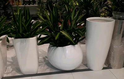 Decorative Products
